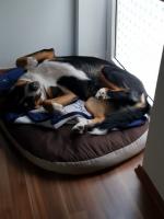 IMG-20190318-WA0073.jpg