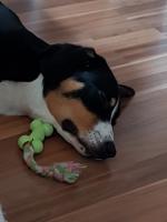 IMG-20190318-WA0077.jpg