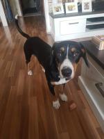 004-briska_6mo.jpg