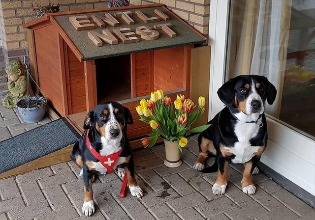 Olav+Zyta